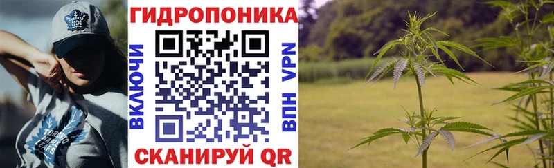 Галлюциногенные грибы Симферополь