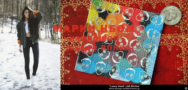 MESCALINE Лабытнанги